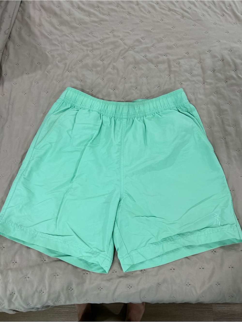 Caribbean Joe Seafoam Green Men's Swim Trunks
